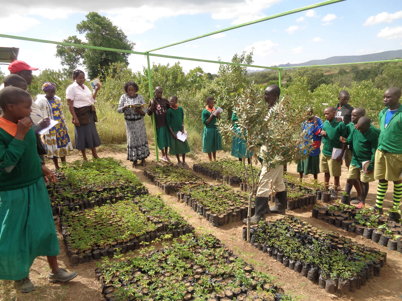 Agroecological Enterprises in Kenya and Uganda to Benefit from Sh7m Capital Injection