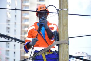 Vilicom ranked sixth in broadband service provision - CA