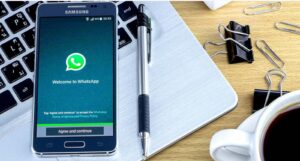 Whatsapp Biz