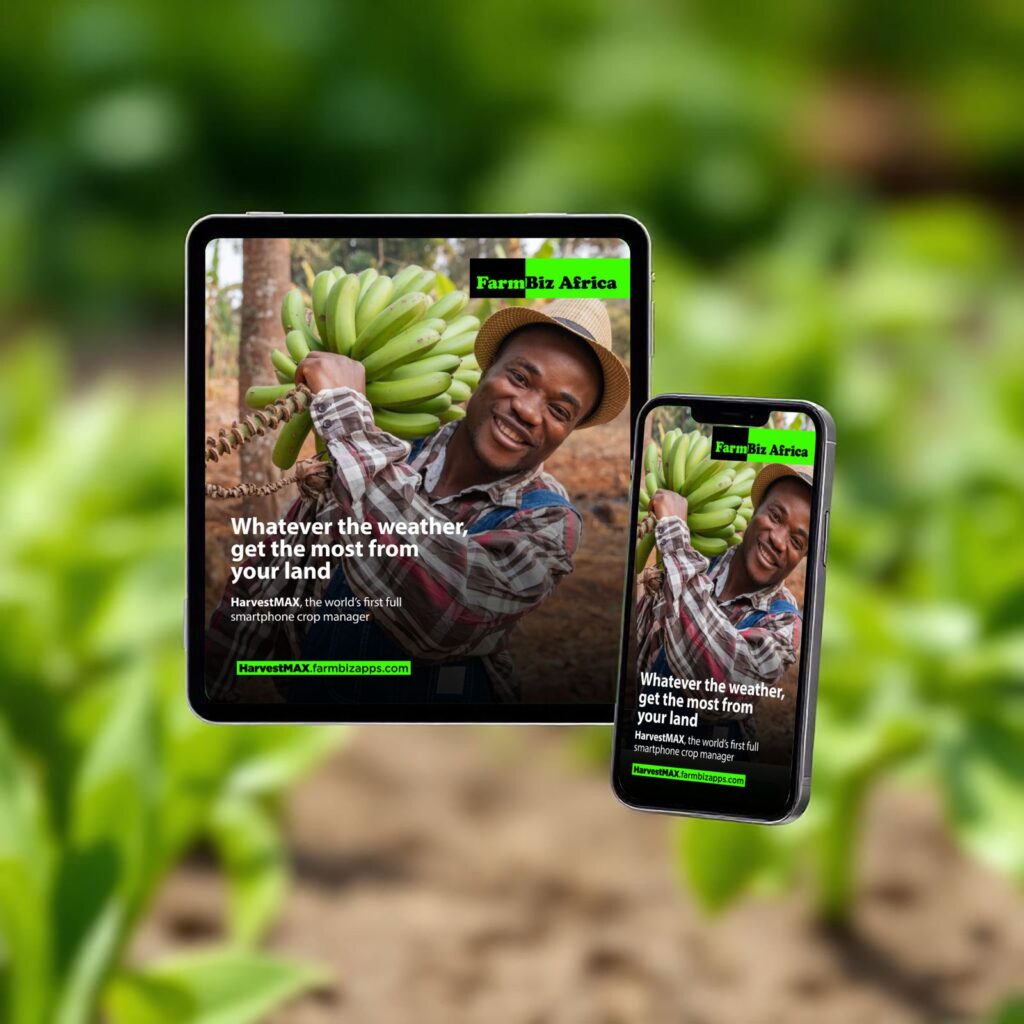 New AI tool helps farmers cut weather risk